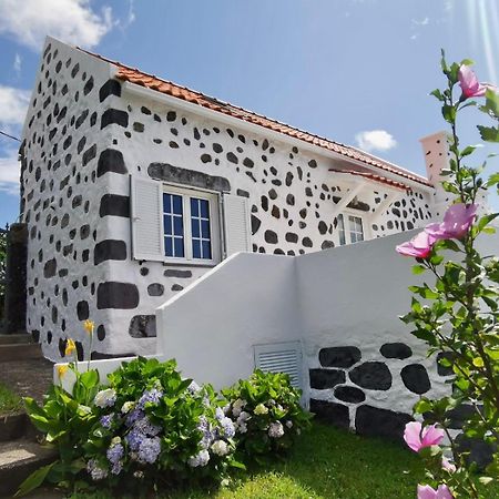 Vivenda Flores - Casa Hortensia Lomba  Eksteriør bilde